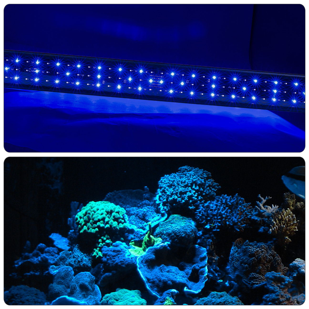 led smd 72 84